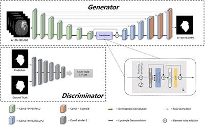 A transformer-based generative adversarial network for brain tumor segmentation